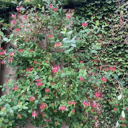 Couette-café Le Mascaret 4*