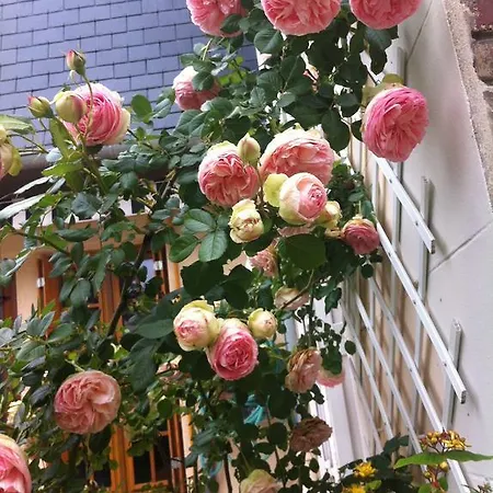 Le Mascaret Couette-café Deauville