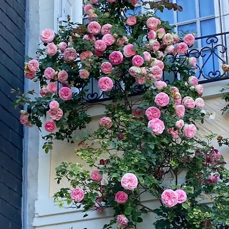 Le Mascaret Bed & Breakfast 4*