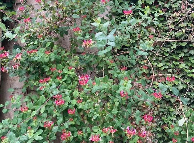 Bed and breakfast Le Mascaret 4*