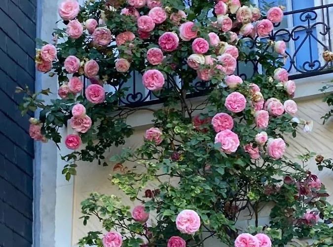 Le Mascaret Bed and Breakfast 4*