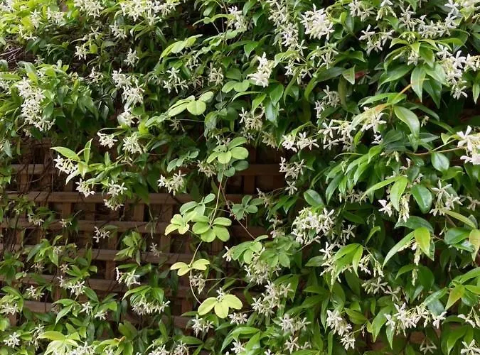 Le Mascaret 4* Ντοβίλ