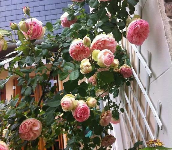 Le Mascaret Bed and breakfast Deauville