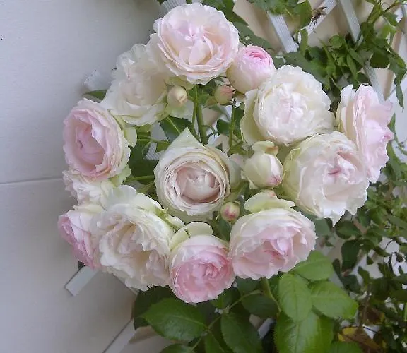 Le Mascaret Bed and Breakfast 4*